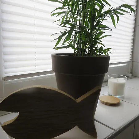 Apartment Familie Buchner *